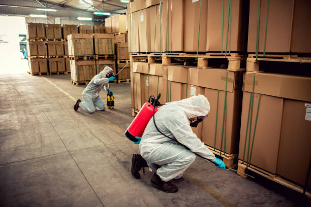 Best Wildlife Control Services  in East Newark, NJ
