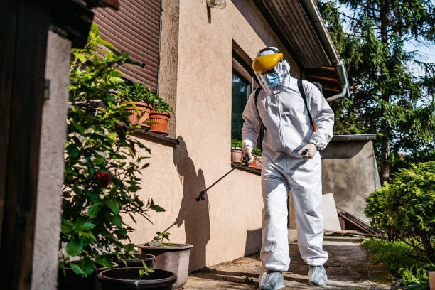 Best Termite Control Services  in East Newark, NJ