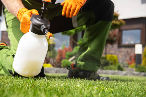  East Newark, NJ Pest Control Pros