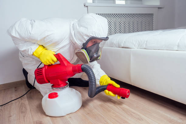 Best Pest Removal Services  in East Newark, NJ