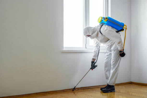 Best Pest Control Near Me  in East Newark, NJ