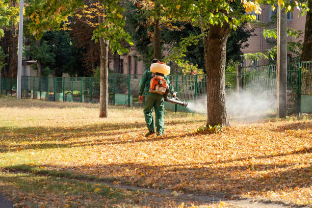 Best Pest Control for Homes  in East Newark, NJ