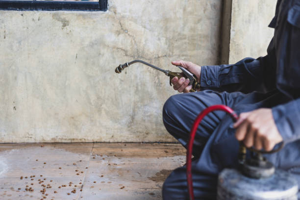 Best Commercial Pest Control Services  in East Newark, NJ